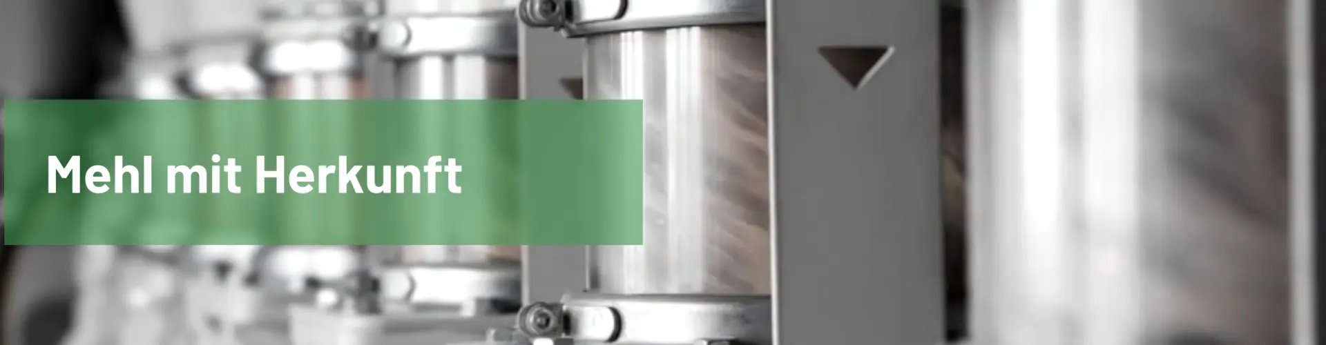 Hedwigsburger Okermuhle GmbH cover